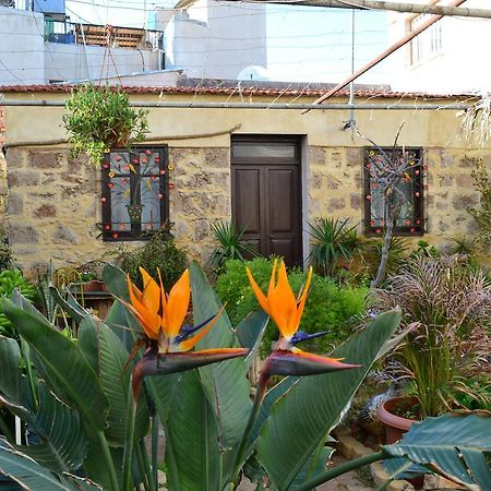 Mystery Garden Guest House Famagusta  Exteriér fotografie