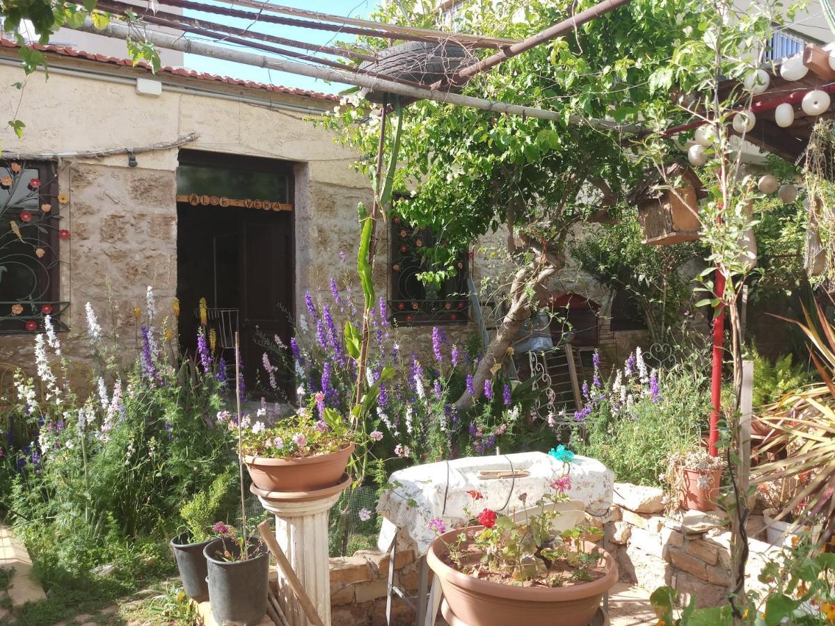 Mystery Garden Guest House Famagusta  Exteriér fotografie
