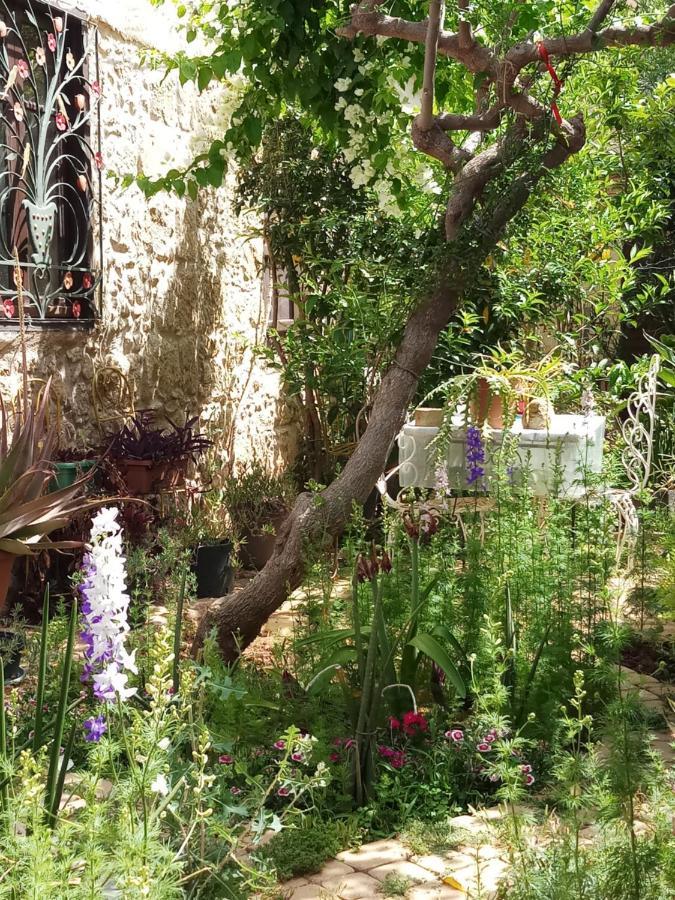 Mystery Garden Guest House Famagusta  Exteriér fotografie