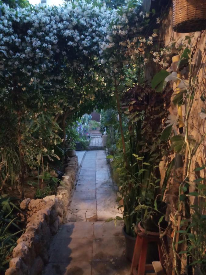 Mystery Garden Guest House Famagusta  Exteriér fotografie
