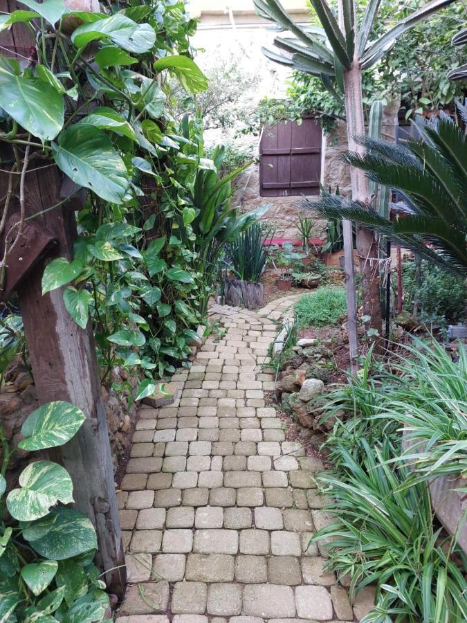 Mystery Garden Guest House Famagusta  Exteriér fotografie