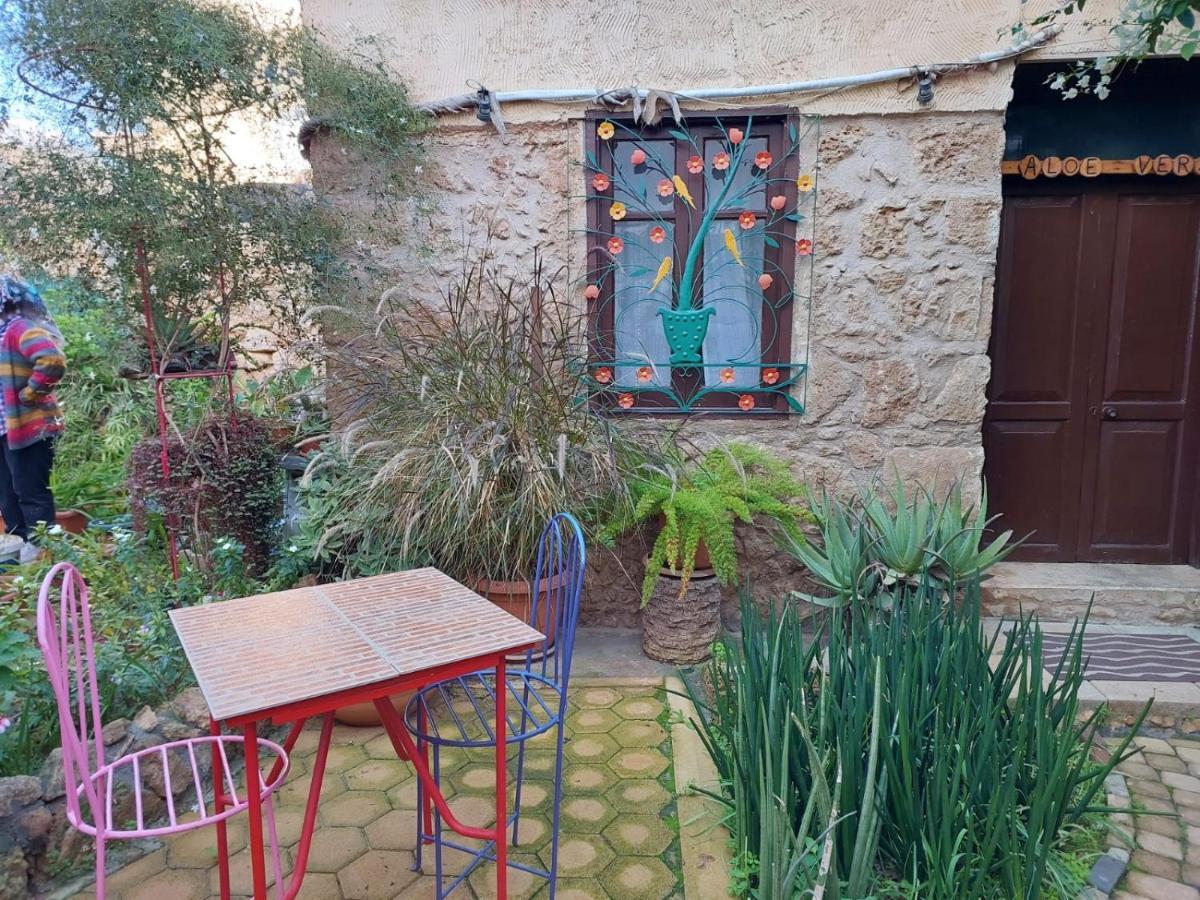 Mystery Garden Guest House Famagusta  Exteriér fotografie