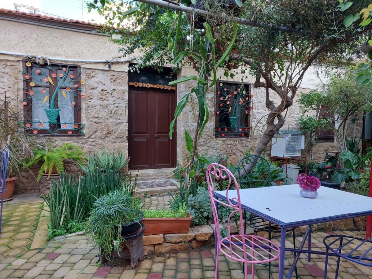 Mystery Garden Guest House Famagusta  Exteriér fotografie