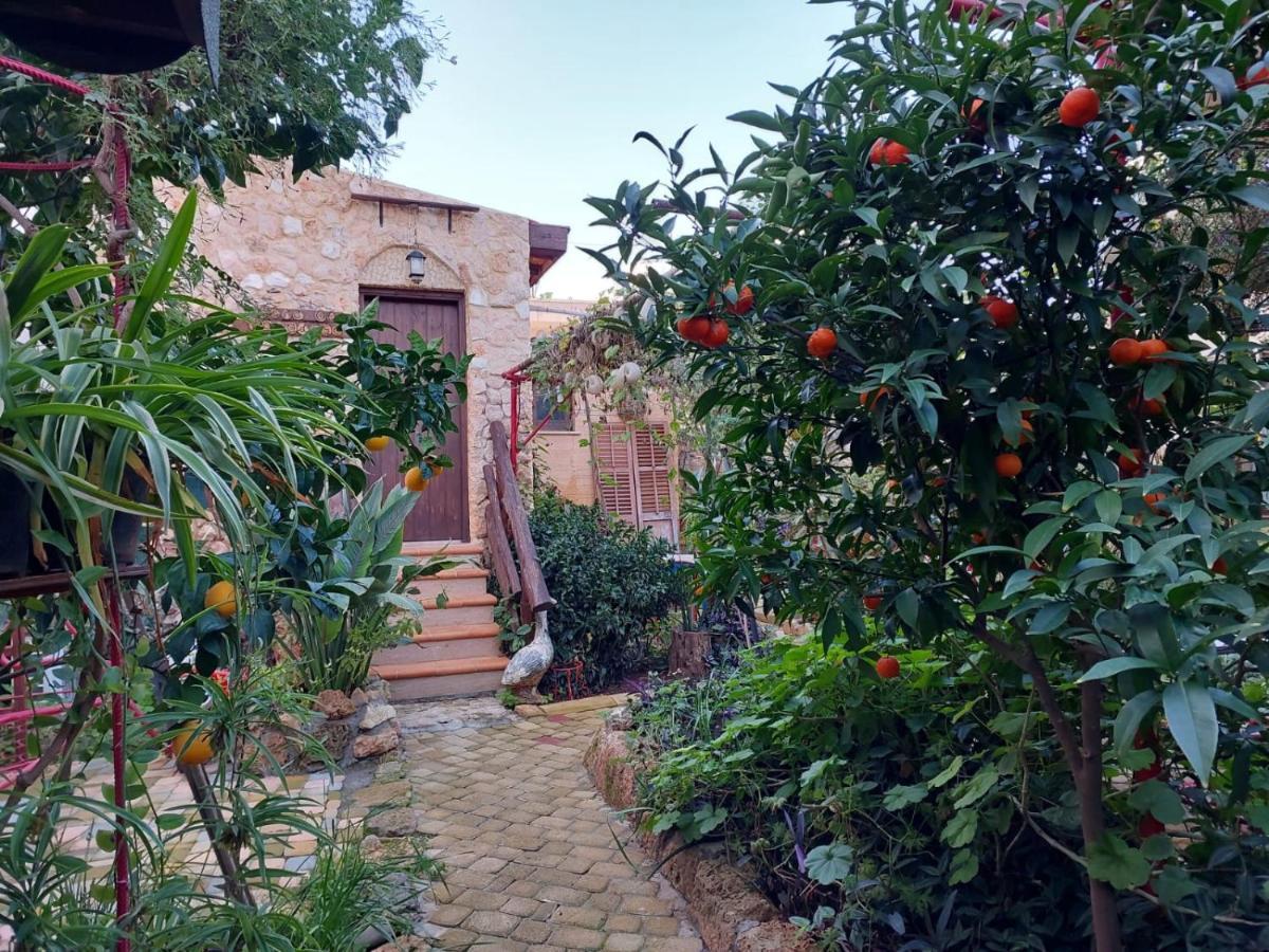 Mystery Garden Guest House Famagusta  Exteriér fotografie