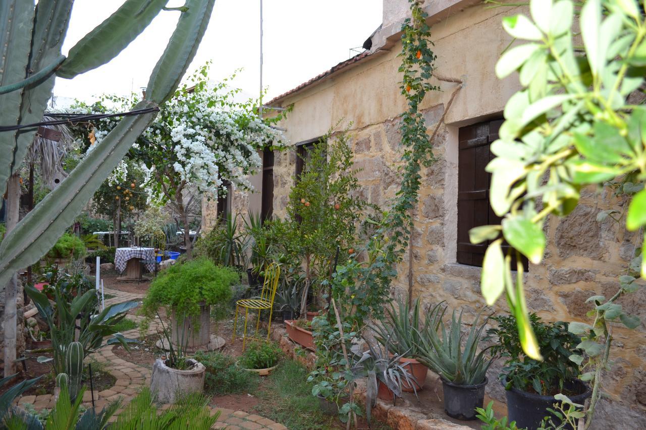 Mystery Garden Guest House Famagusta  Exteriér fotografie