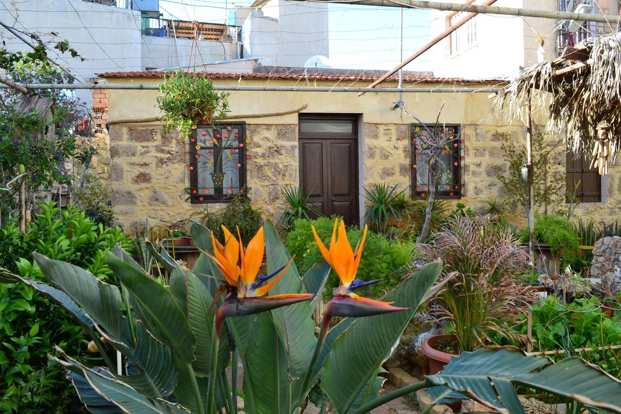 Mystery Garden Guest House Famagusta  Exteriér fotografie