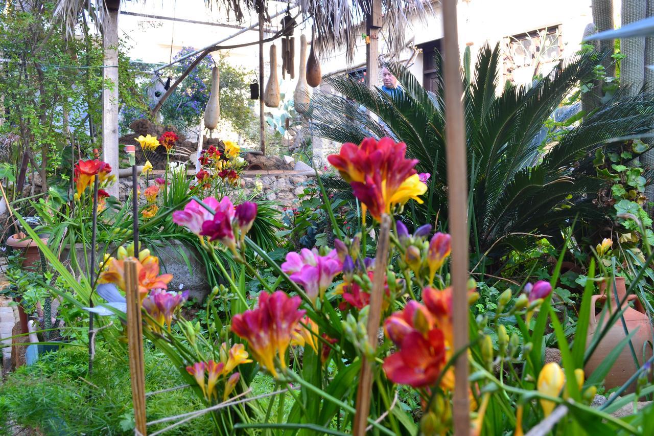 Mystery Garden Guest House Famagusta  Exteriér fotografie