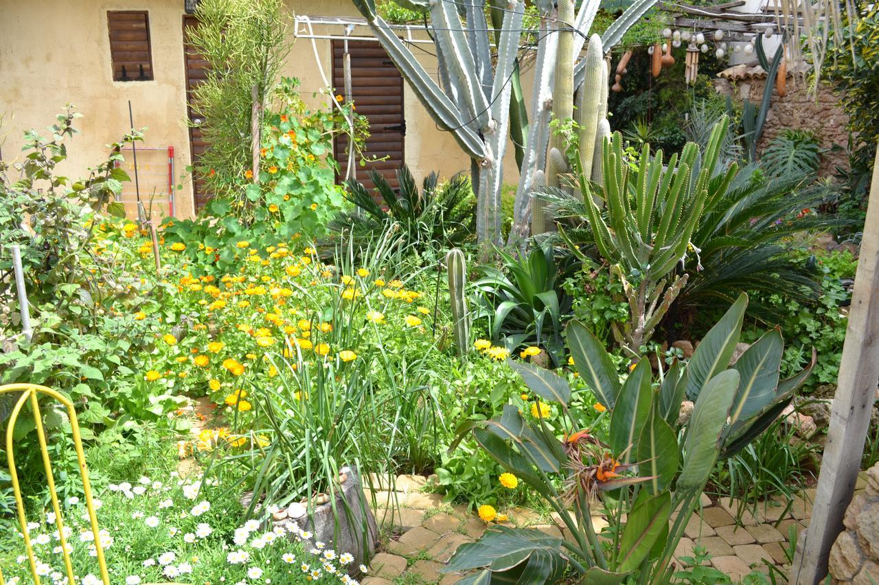 Mystery Garden Guest House Famagusta  Exteriér fotografie