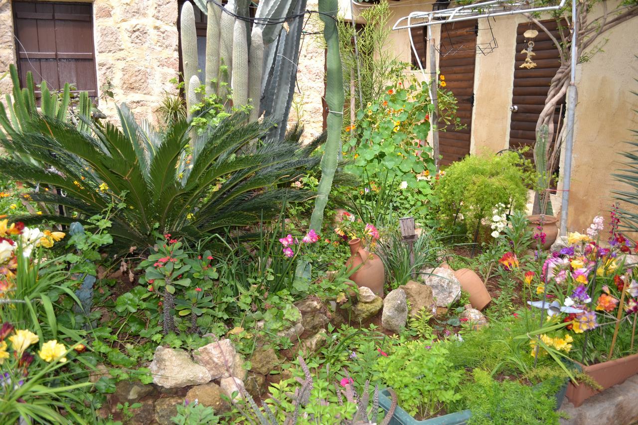 Mystery Garden Guest House Famagusta  Exteriér fotografie