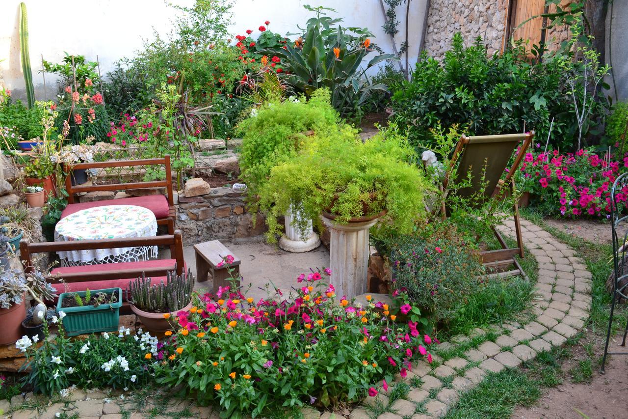 Mystery Garden Guest House Famagusta  Exteriér fotografie