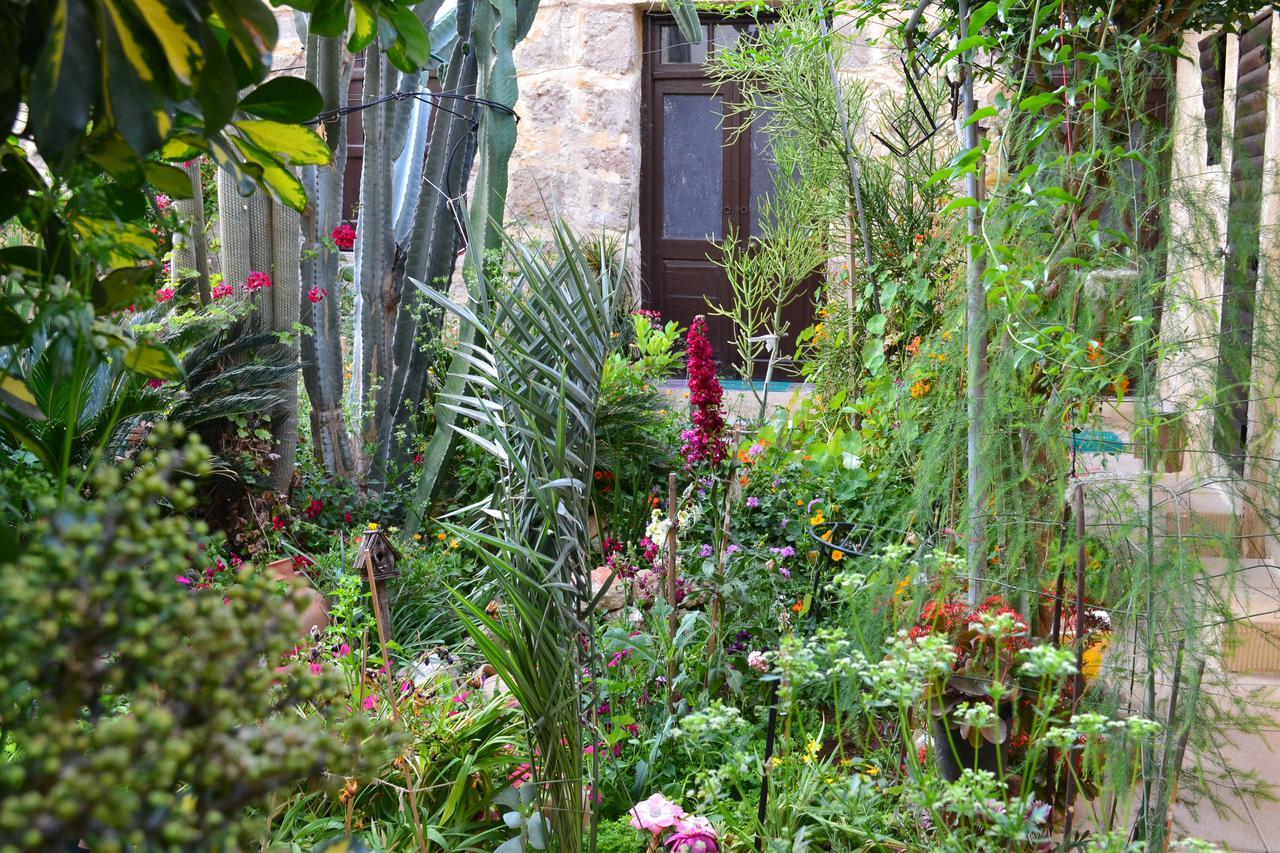 Mystery Garden Guest House Famagusta  Exteriér fotografie
