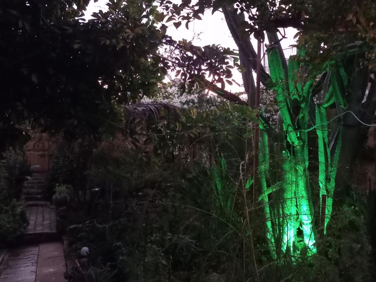 Mystery Garden Guest House Famagusta  Exteriér fotografie