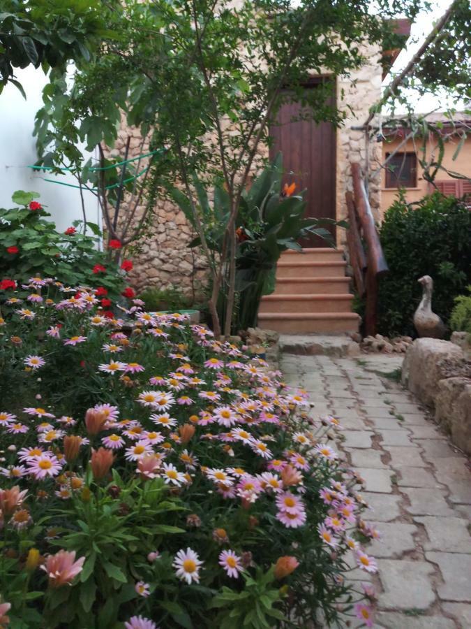 Mystery Garden Guest House Famagusta  Exteriér fotografie