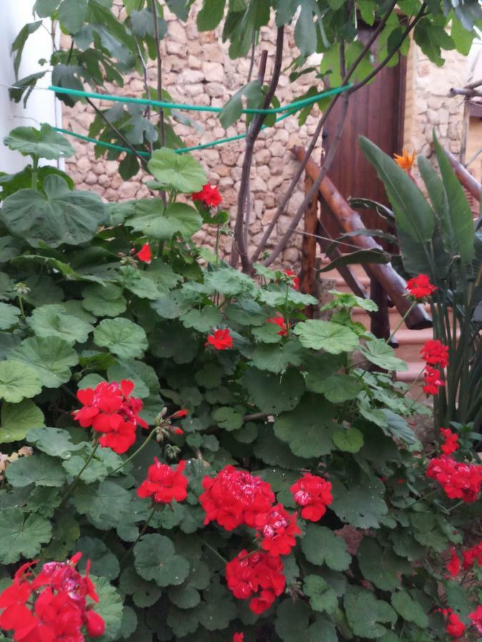 Mystery Garden Guest House Famagusta  Exteriér fotografie